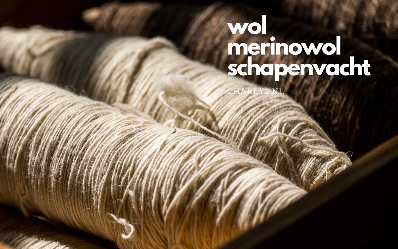 Charly's 100% Wol - Charly's