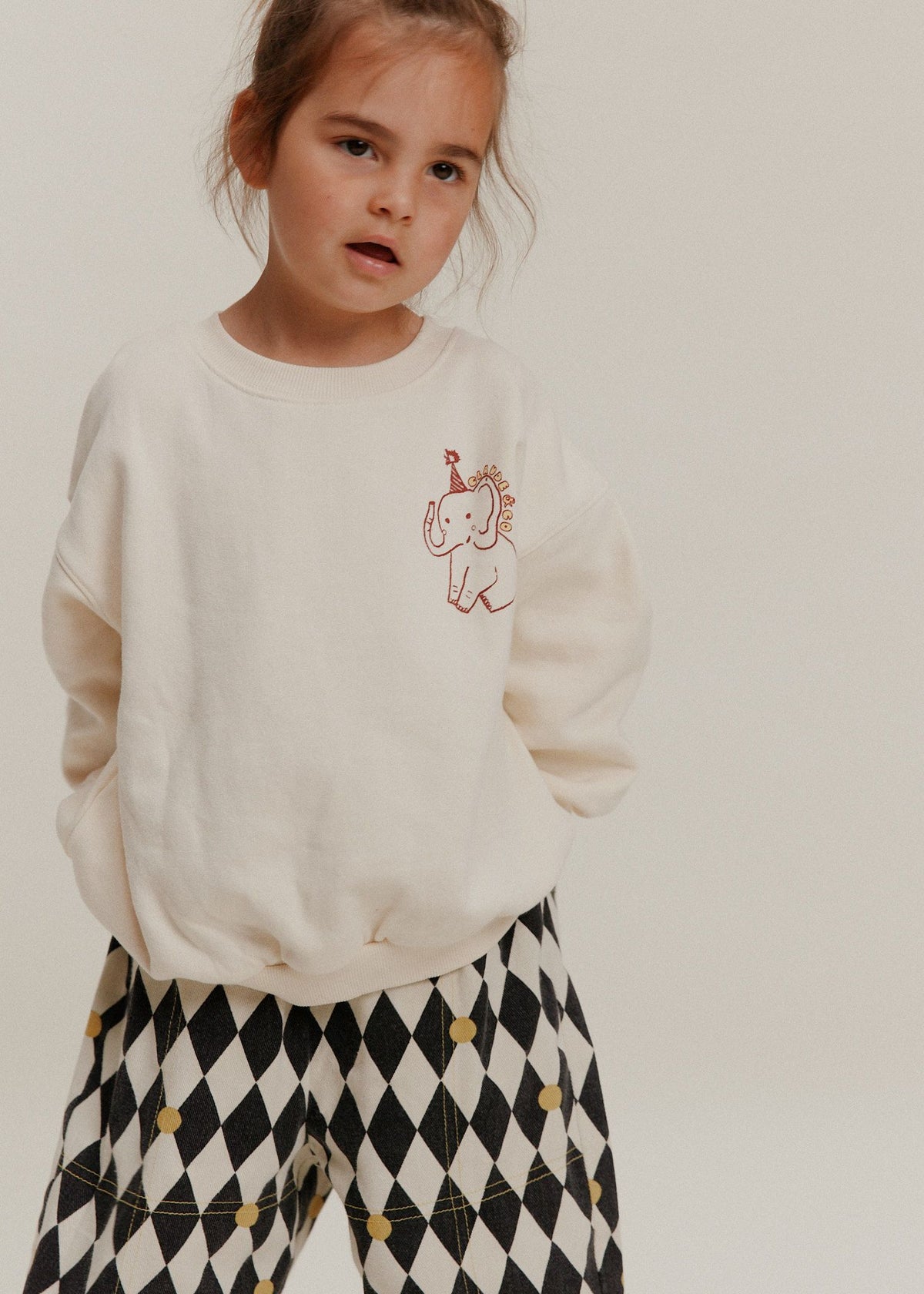 Carner sweater curiosities