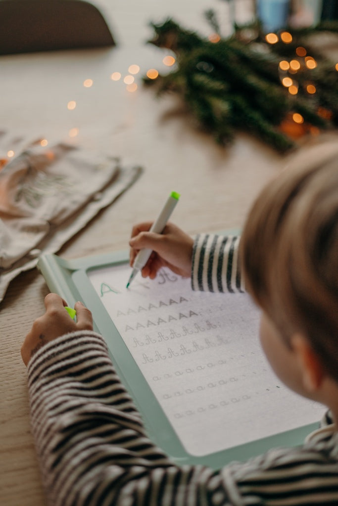 Kidydraw tweezijdig tekenbord pro