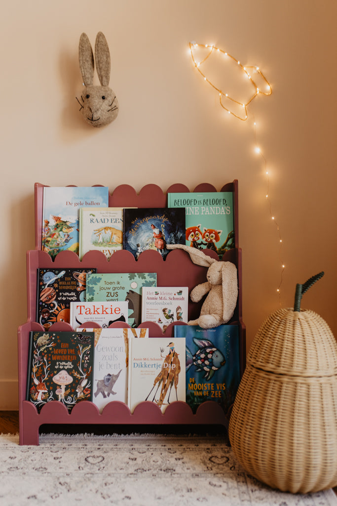 Sinterklaasboek zoekboek 4+
