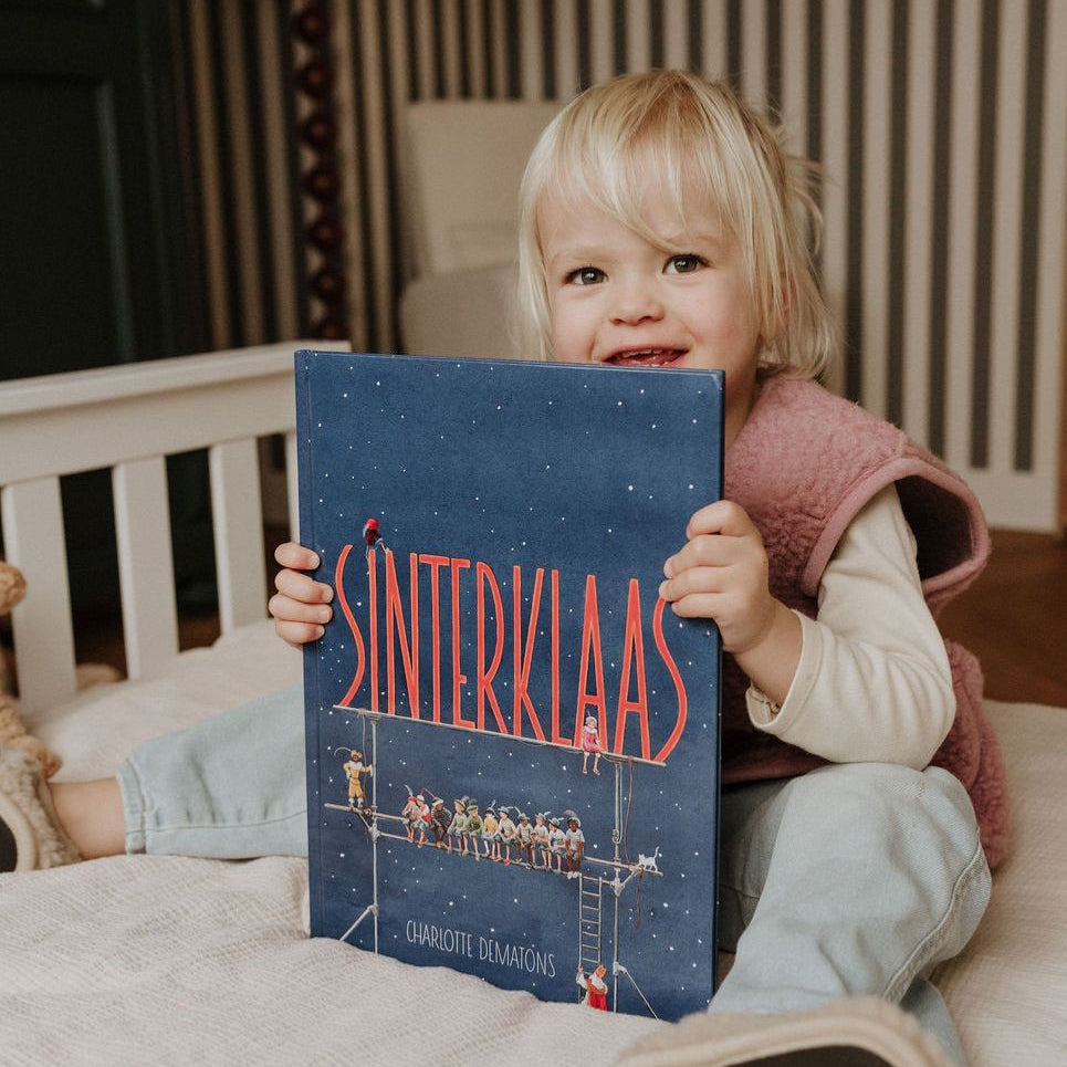 Sinterklaasboek zoekboek 4+