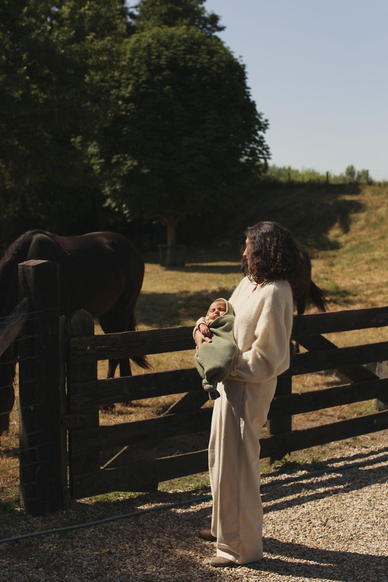 Cocoon artichoke - Charly's