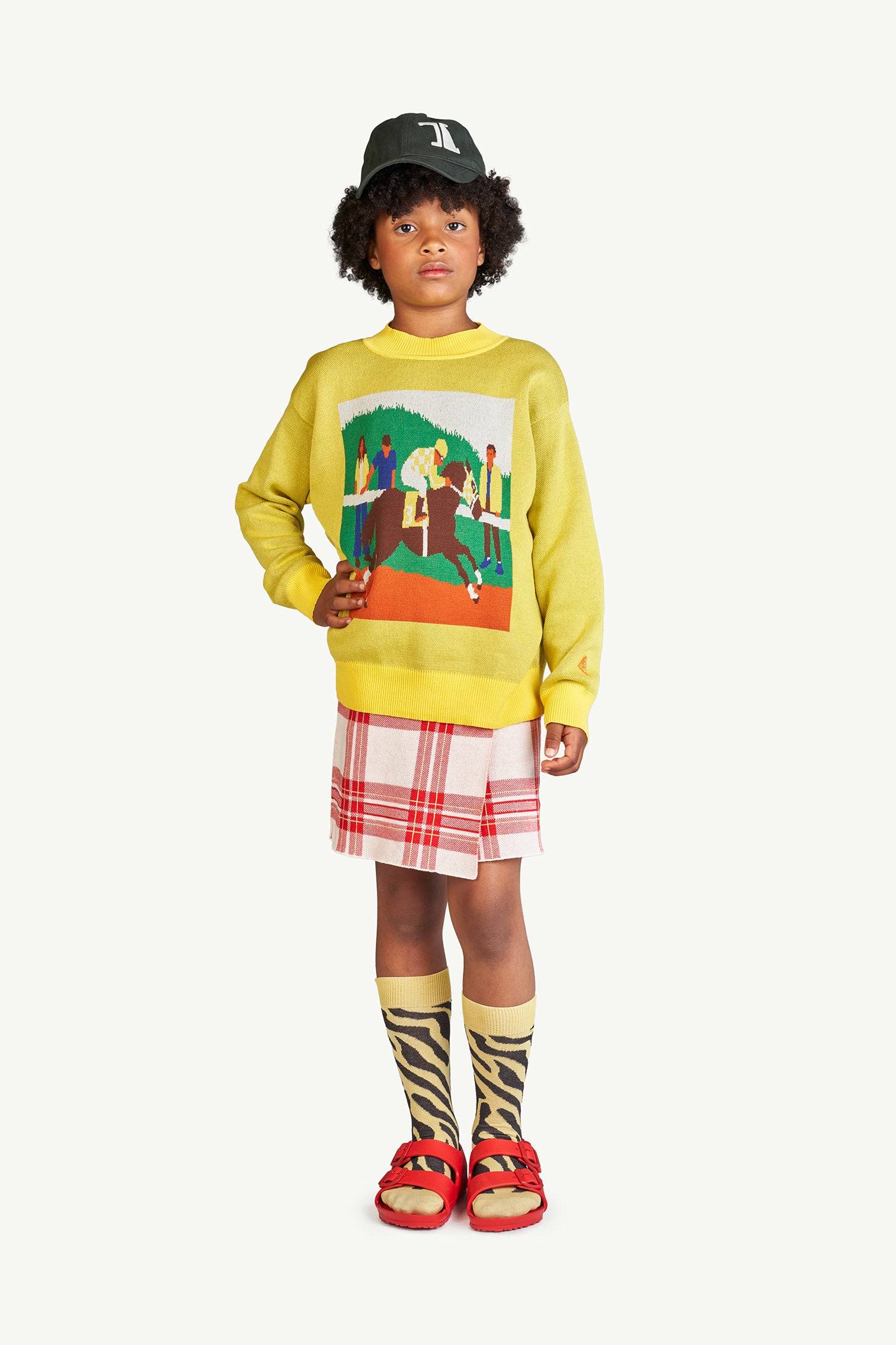 The Animals Observatory LYNX SKIRT RED