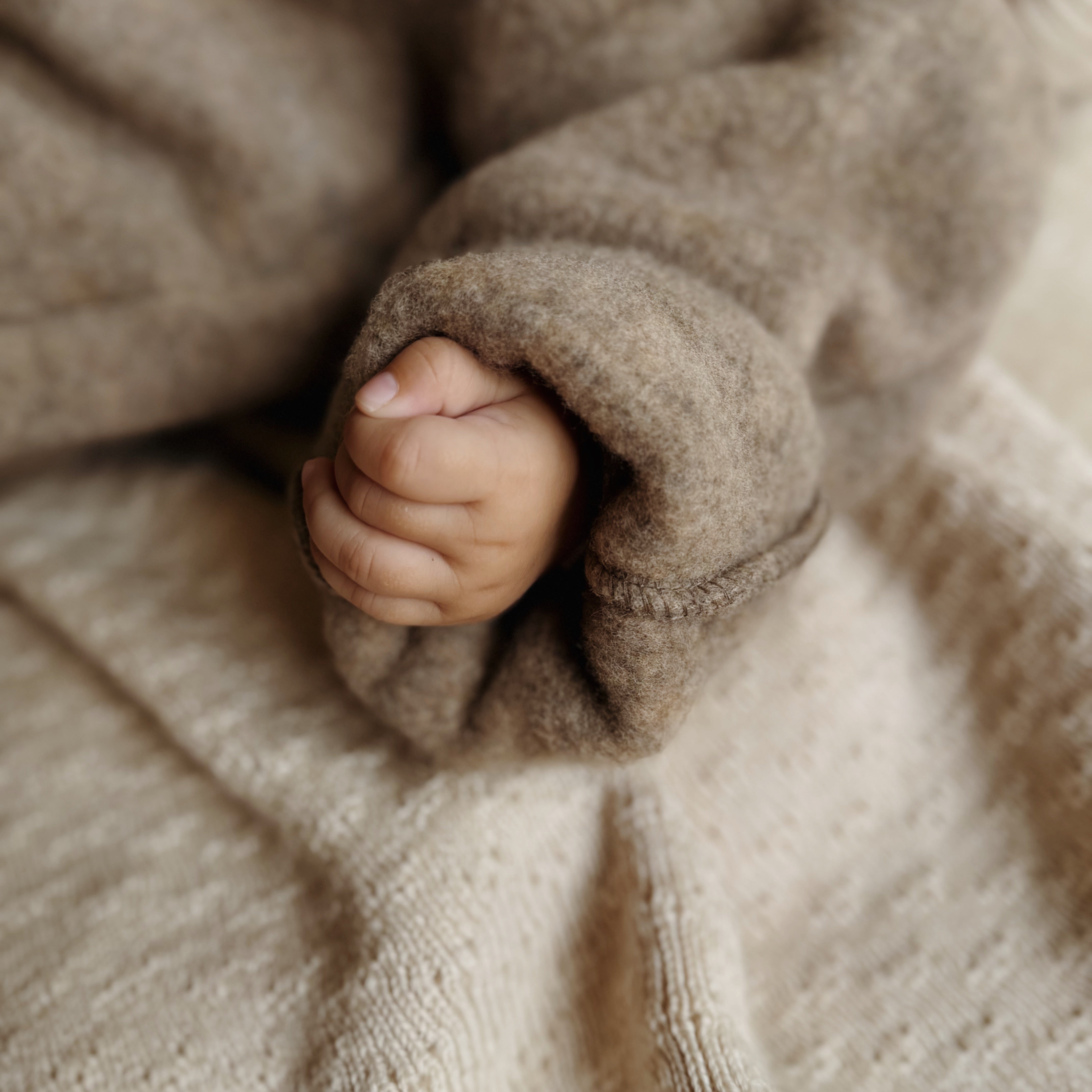 Wat is merinowol en wat zijn de voordelen ervan? - Charly's