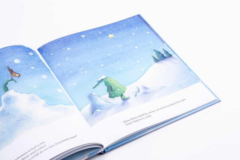 De eerste kerst van Kleine Boom | Donna Kroese
