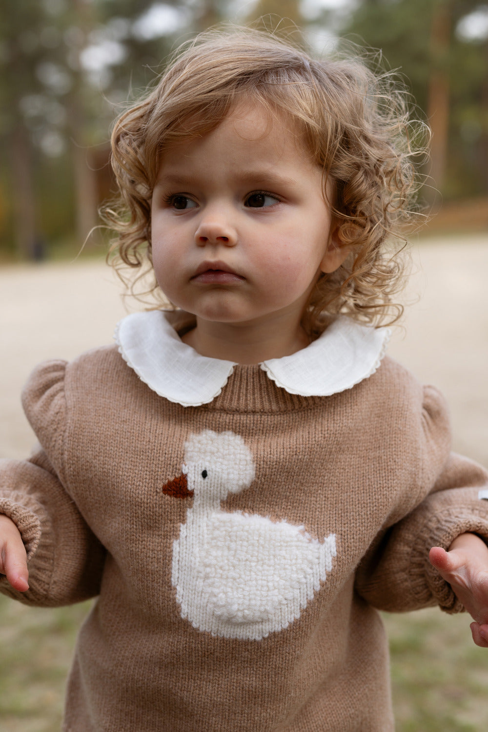 Denna merino wool sweater duck