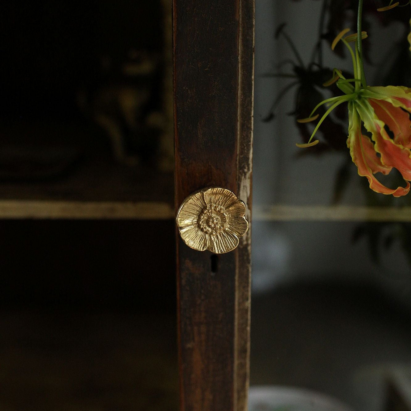 Knop mia poppy