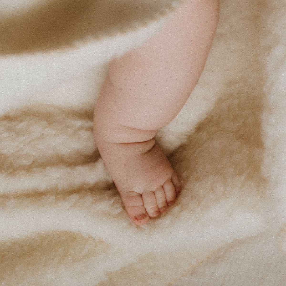 Deken modern wol - Charly's