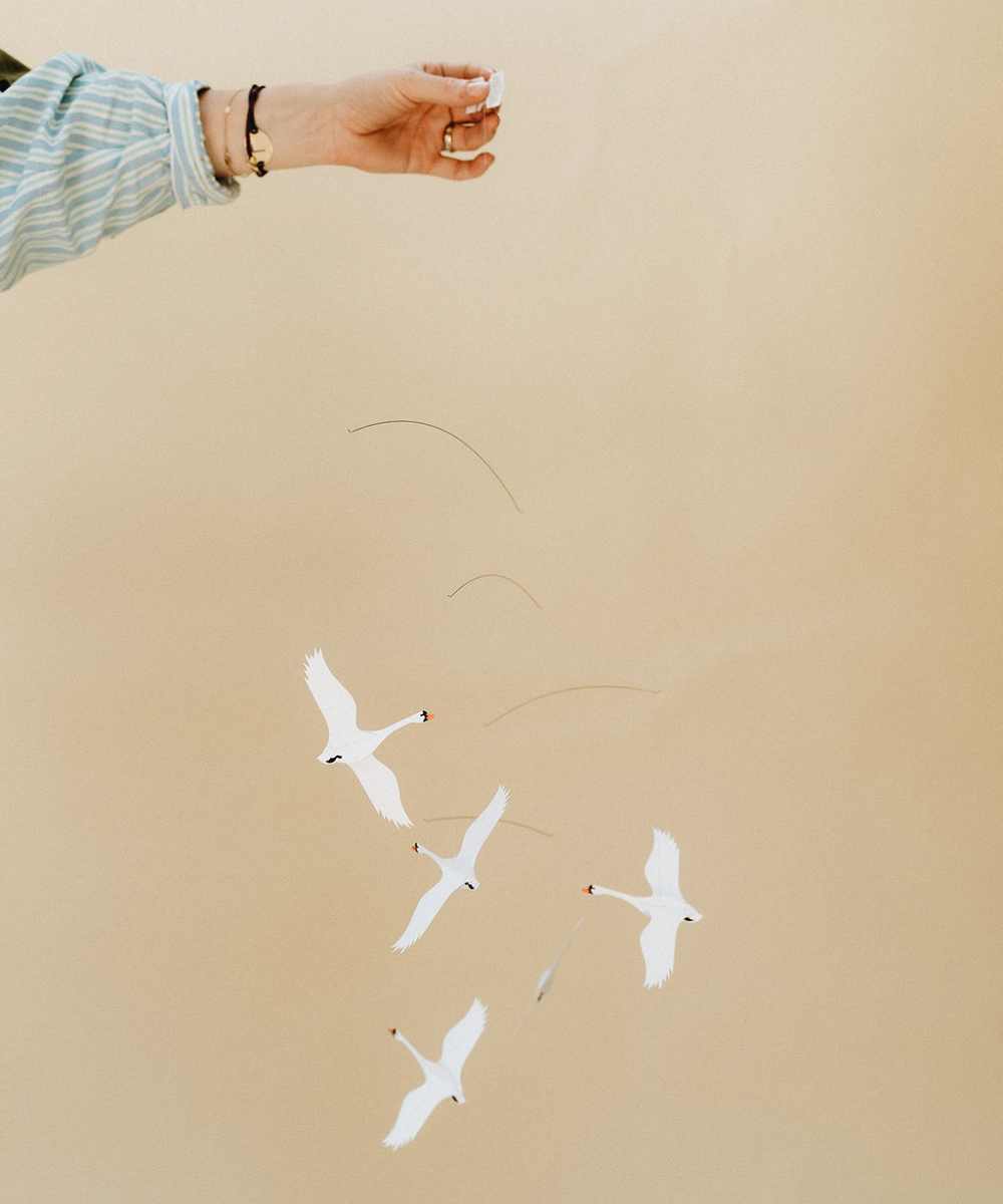 Mobiel swans