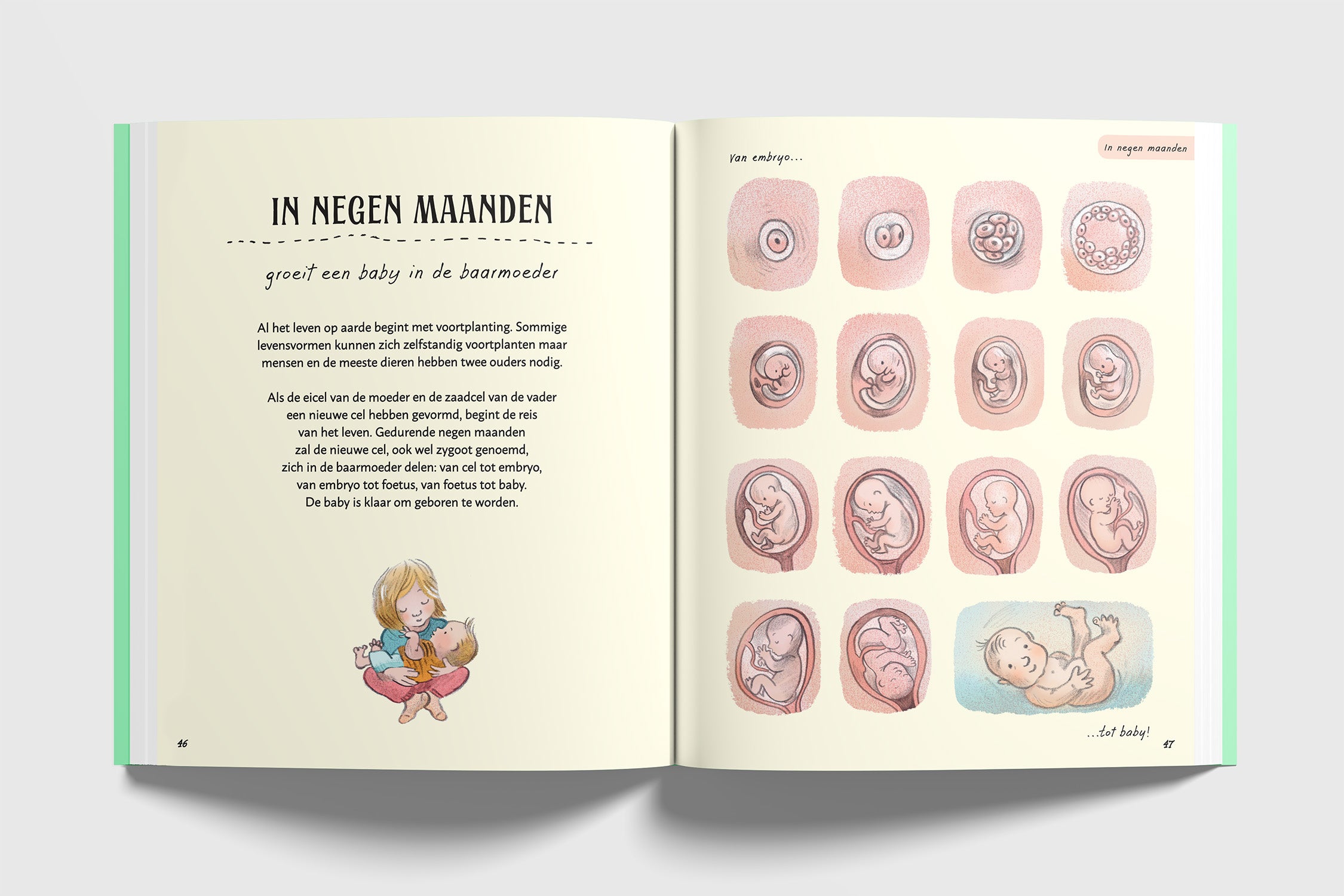 Het Wachten waard