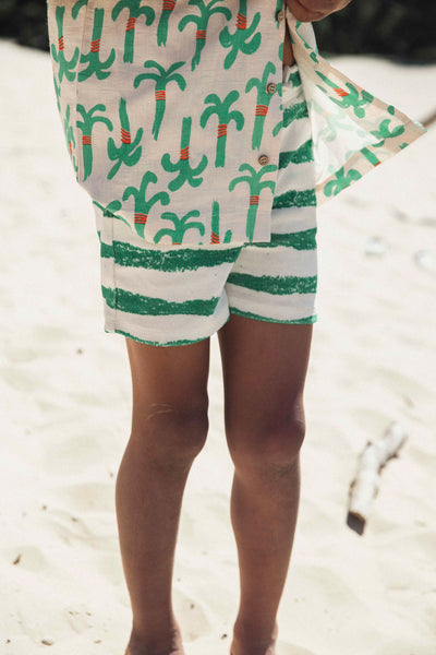 Apollo Stripe Green
