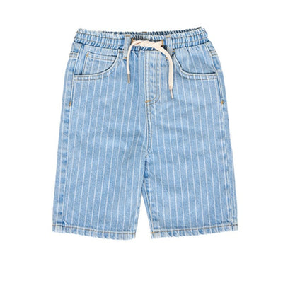 Noah Denim Stripe