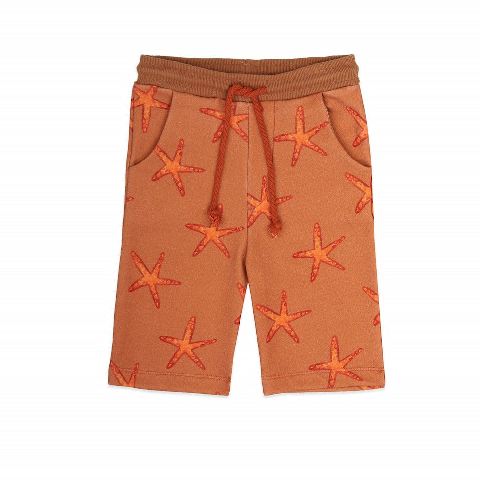 Ammehoela Short Mase