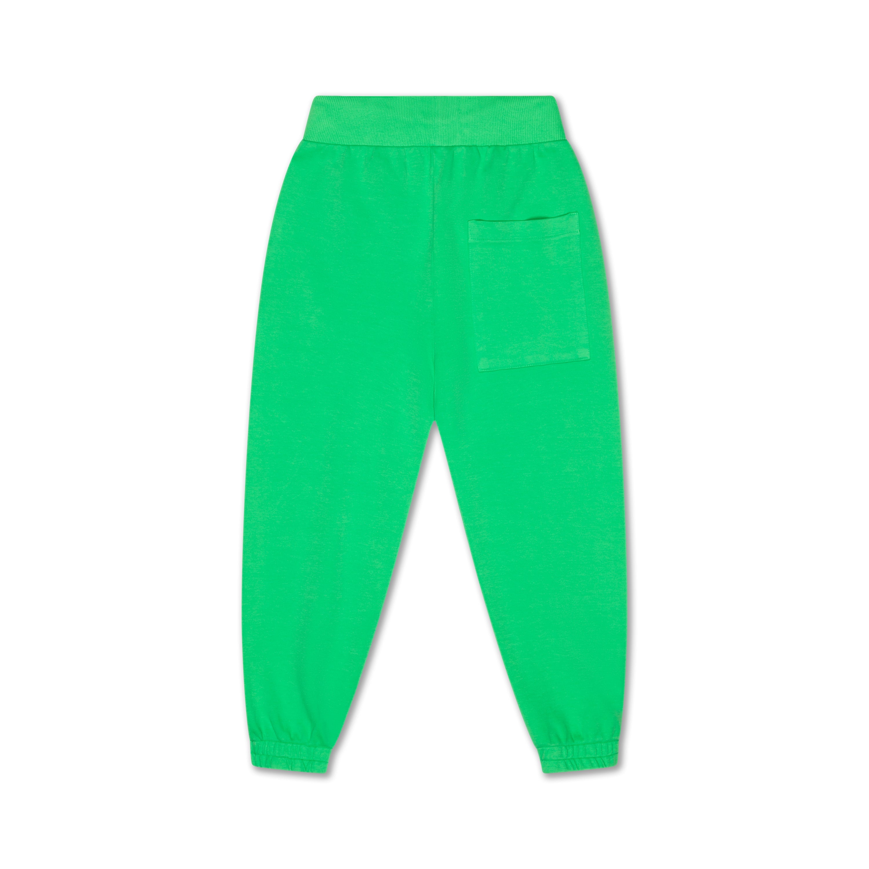 Repose Sweatpants | spring green