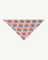 RAY SCARF PINK